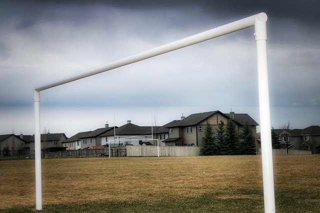 还常常为观 还常常为观