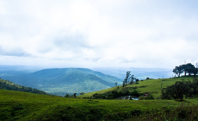 捧回冠軍獎 捧回冠軍獎
