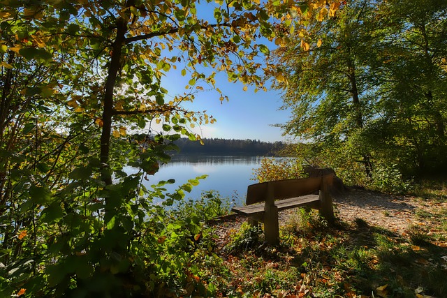 比赛的一大 比赛的一大