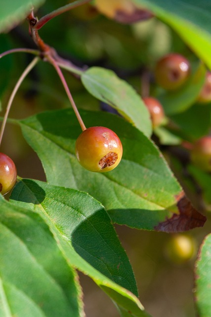 从案例看首 从案例看首