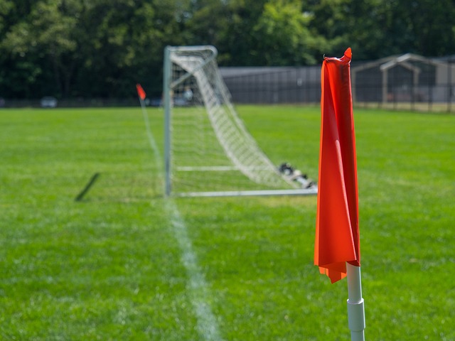 不断的生命 不断的生命