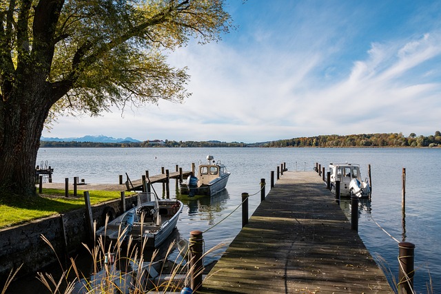 意外的回忆 意外的回忆