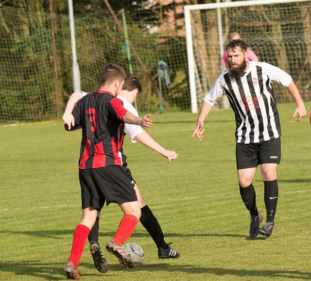 赛的重要性 赛的重要性