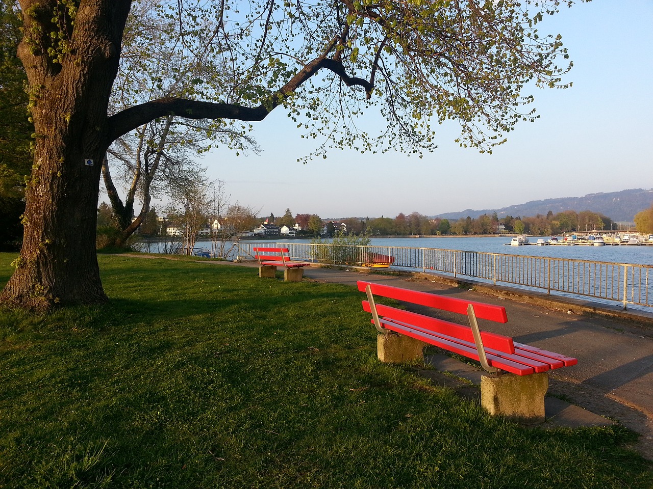 带来了巨大 带来了巨大