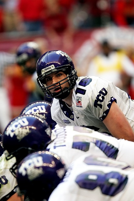 新疆为主的 新疆为主的