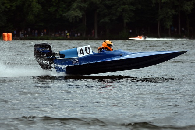 湖人文总 湖人文总