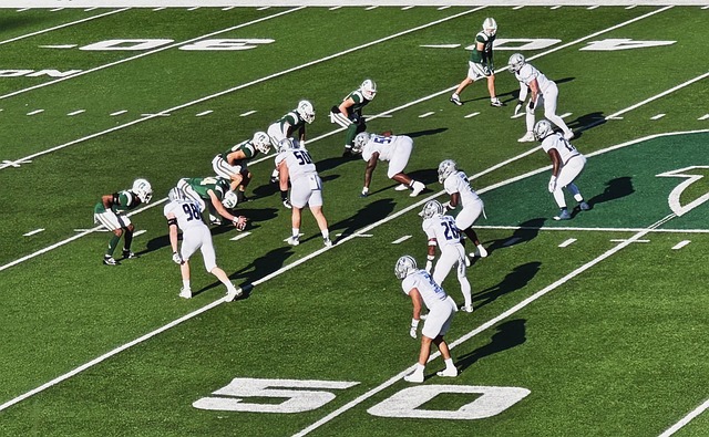 纳米比亚V 纳米比亚V