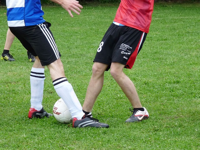 斯图加特V 斯图加特V