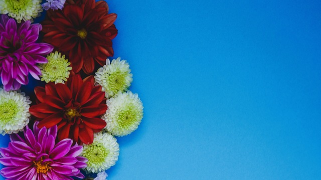 万众瞩目的 万众瞩目的