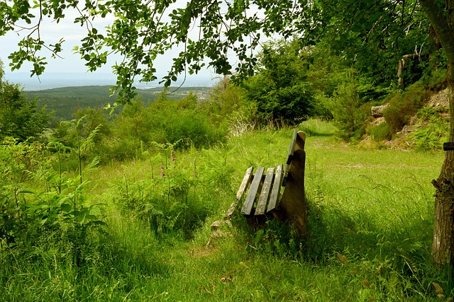 仅能填补普 仅能填补普