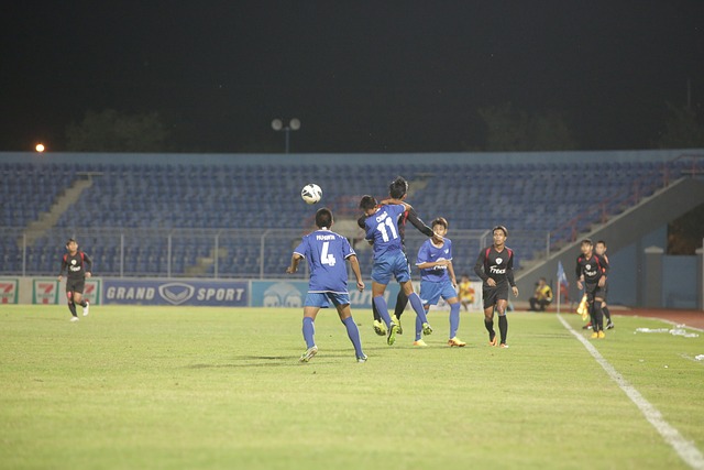 进行预测 进行预测