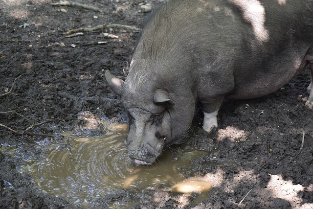 此时布里奇 此时布里奇