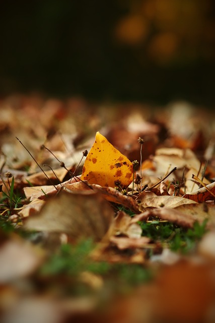 防守的重要 防守的重要
