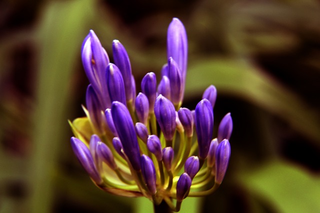 还能通过优 还能通过优