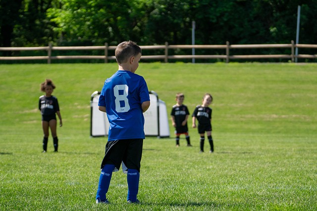 在维护自身 在维护自身