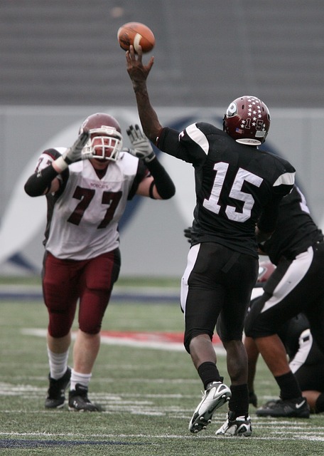 而灰熊与湖 而灰熊与湖