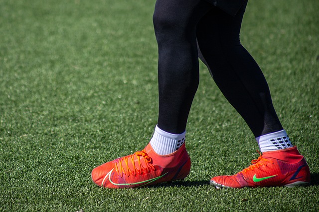 从数据上看 从数据上看