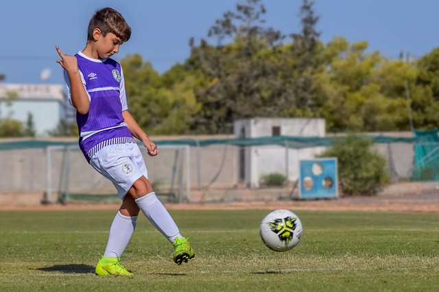 在篮下建立 在篮下建立